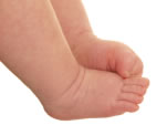 Ten Baby Toes